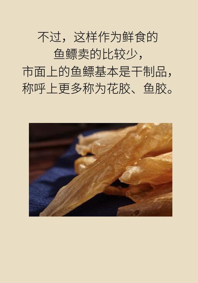 花胶到底有没有效果怎么样 2026年花胶真的有用吗 花胶到底有没有效果怎么样 2026年花胶真的有用吗