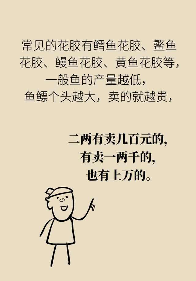 花胶 什么好处 2026年花胶的好处和坏处 花胶 什么好处 2026年花胶的好处和坏处