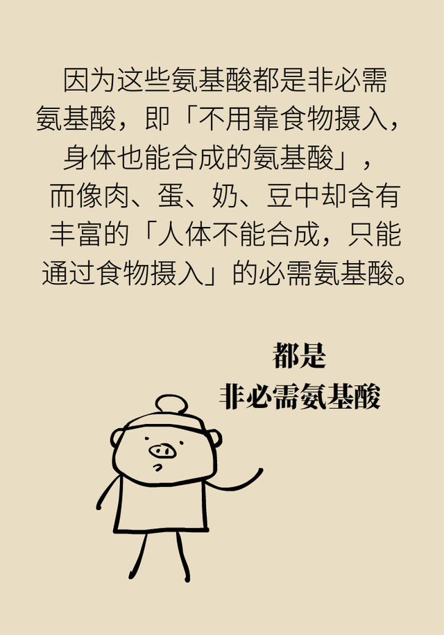 花胶到底有没有效果怎么样 2026年花胶真的有用吗 花胶到底有没有效果怎么样 2026年花胶真的有用吗