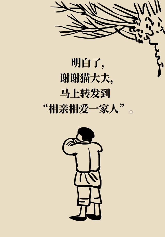 花胶到底有没有效果怎么样 2026年花胶真的有用吗 花胶到底有没有效果怎么样 2026年花胶真的有用吗