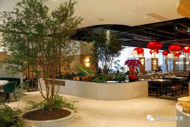 花胶红豆牛奶贝柱 2026年花胶红豆莲子炖牛奶做法