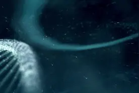 创新中国｜一场关于中微子的振荡竞赛