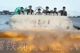 拼多多“新品牌计划”深入茶产业带：首站安溪铁观音 将打造国民普惠好茶图片