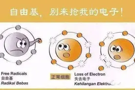 小心｜“自由基”过量是健康的一大杀手！30岁后注意做好这几件事图片