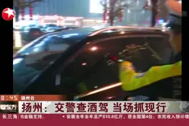 交警查酒驾，司机扬言只喝了一瓶半啤酒，看了检测数据才吐真言视频封面