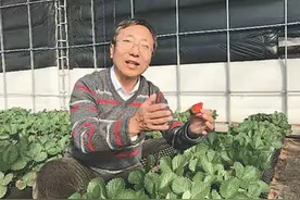 愿做沙漠中的一滴水图片