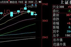 李大霄求救“国家队”难挡沪指四连阴 3100点遇阻春节前持股or持币？图片