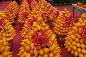 过年想买花和年货来这五个地方!惠城今年设4个迎春花市点视频封面
