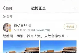 年末大片——我在故宫开大奔图片
