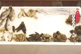 挑选海鲜有妙招！这三点要记牢→图片