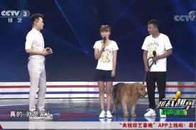 越战越勇：甜蜜夫妻为爱犬放弃度蜜月？主人一走狗就变“望夫石”视频封面
