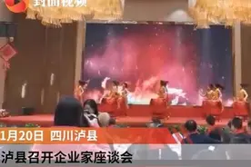 泸县召开企业家座谈会视频封面