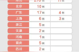 全国已确诊新型肺炎病例324例图片