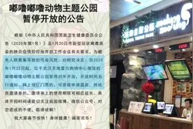 武汉一室内动物园停业，被曝光前正常开放视频封面