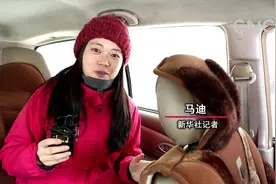 到黑龙江东北虎林园 与大老虎“亲密接触”视频封面
