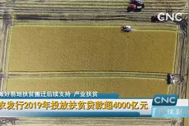 农发行2019年投放扶贫贷款超4000亿元视频封面