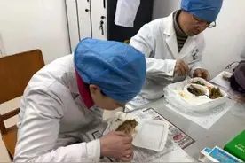 甩体温计甩到手抖，护士吃饭拿不稳筷子图片