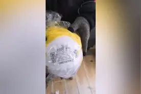 自导自演“快递员截口罩转卖”视频者被拘视频封面
