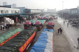 驰援！合肥300多吨蔬菜今天发往武汉视频封面