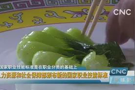 人力资源和社会保障部颁布新的国家职业技能标准视频封面
