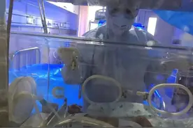 战疫者｜三条人命的紧急救援：患新冠肺炎产妇顺利分娩双胞胎图片