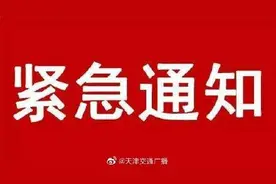 宁河区停线13条公交线路图片