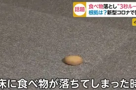 食物掉地上3秒内捡起来能吃吗？日媒揭秘"3秒定律"真相图片