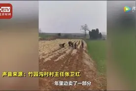 我能捐的不多，但这是我最好的东西了图片