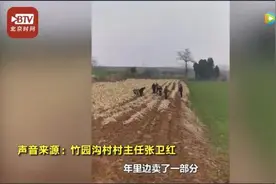 我能捐的不多，但这是我最好的东西了图片