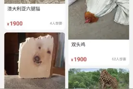 在闲鱼上买一只大牌包，你能看到从巴黎到中小城市的奢侈品隐秘世界图片