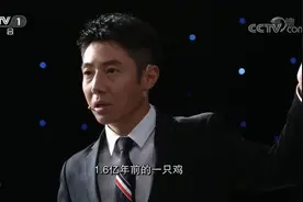 开讲啦：恐龙竟是鸡的祖先？看到图的瞬间，观众直呼：太像了视频封面