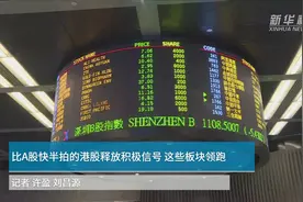中国财富报道|比A股快半拍的港股释放积极信号 这些板块领跑视频封面