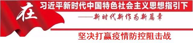 花胶石斛炖白鸽 2026年花胶石斛炖白鸽汤的做法