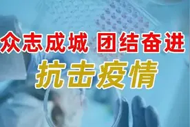 省林业和草原局督查组到宣威督查清明节期间森林草原防灭火工作图片