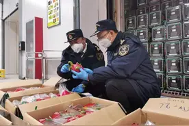 水果供应不能耽搁 青岛海关一天放行231吨香蕉和火龙果图片