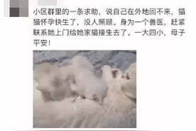 热搜｜你的专业可以为抗疫做什么？网友：看着看着就哭了图片