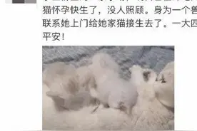 你的专业可以为抗疫做什么？网友：看着看着就哭了图片