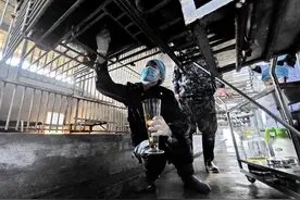 配套缺乏、执法力度不够，野生动物保护法时隔4年将再修图片