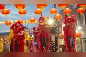 马来西亚：舞狮闹元宵图片