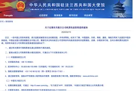 驻法国大使馆提醒：中国公民密切关注航班信息和改退票通告图片