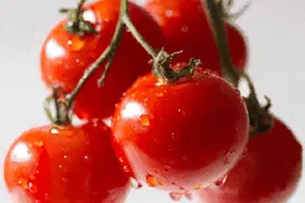 出门买一次蔬菜，这样保鲜可以放上一个月图片