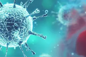 Epidemic和plague：英语中这几种“疫”有什么区别图片