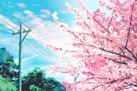 动漫里唯美的花花世界，原来触手可及图片