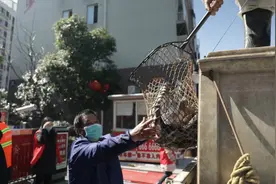探访荆州“无疫村”，运鱼车直达小区门口，居民间隔两米排队购买视频封面