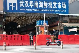 快评丨我们该怎样寻找“零号病人”图片