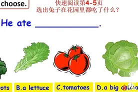 壹点网课｜小学英语绘本，田盼盼跟你讲述动物和蔬菜的故事视频封面