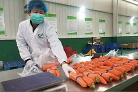 蔬菜、水果从基地直达餐桌，济宁市供销社推出“同城配送”服务图片