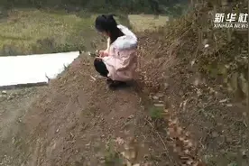爬上自家楼顶 湖北山区姑娘给千里外的孩子上网课视频封面