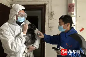 主人因为新冠肺炎被隔离，狗狗被爱心人士接收代管图片