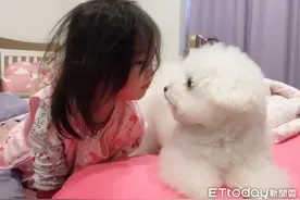 特殊起床仪式　妹妹强迫索吻汪哥图片
